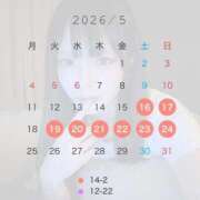 ヒメ日記 2026/05/15 11:26 投稿 ミラ ロボットデリヘル