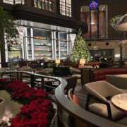 ヒメ日記 2025/12/17 03:09 投稿 柚月(ゆづき) 麗しい人妻 新宿本店