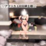 ヒメ日記 2025/12/29 02:17 投稿 莉音/りのん Platinum Legend(プラチナムレジェンド)