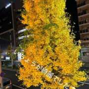 新妻 聖子 お礼💌です💕 熟女・人妻マダム宮殿