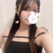 うずら 後ちょっと…だね ロイヤルフラッシュ