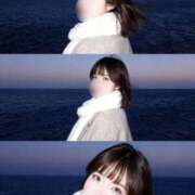 ヒメ日記 2025/12/10 17:30 投稿 らるふ buzz-B