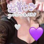 ヒメ日記 2025/12/29 11:56 投稿 らるふ buzz-B