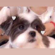 ヒメ日記 2026/01/11 15:16 投稿 らるふ buzz-B