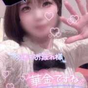 ヒメ日記 2026/01/16 20:16 投稿 らるふ buzz-B