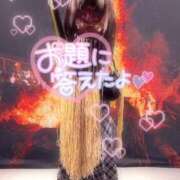 ヒメ日記 2026/01/16 21:31 投稿 らるふ buzz-B