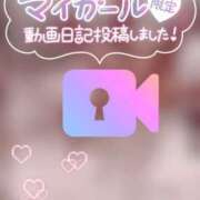 ヒメ日記 2026/01/17 01:16 投稿 らるふ buzz-B