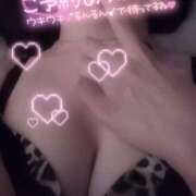 ヒメ日記 2026/01/17 09:42 投稿 らるふ buzz-B