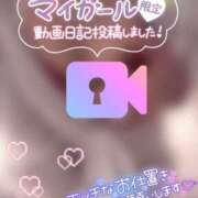 ヒメ日記 2026/01/17 12:45 投稿 らるふ buzz-B