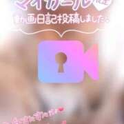 ヒメ日記 2026/01/17 13:45 投稿 らるふ buzz-B