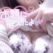 ヒメ日記 2026/01/27 18:01 投稿 らるふ buzz-B