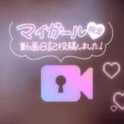 ヒメ日記 2026/01/27 21:49 投稿 らるふ buzz-B