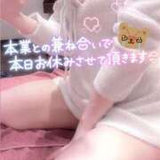 ヒメ日記 2026/01/29 10:30 投稿 らるふ buzz-B