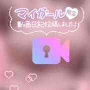 ヒメ日記 2026/01/30 22:30 投稿 らるふ buzz-B