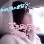 ヒメ日記 2026/01/31 08:02 投稿 らるふ buzz-B