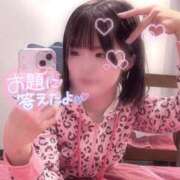 ヒメ日記 2026/01/31 19:01 投稿 らるふ buzz-B