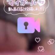 ヒメ日記 2026/02/01 22:30 投稿 らるふ buzz-B