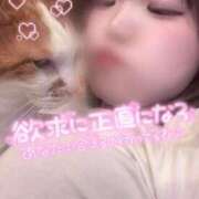 ヒメ日記 2026/02/03 19:09 投稿 らるふ buzz-B