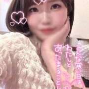 ヒメ日記 2026/02/08 10:56 投稿 らるふ buzz-B