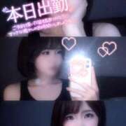 ヒメ日記 2026/02/14 11:31 投稿 らるふ buzz-B