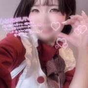 ヒメ日記 2026/02/15 10:38 投稿 らるふ buzz-B