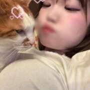 ヒメ日記 2026/02/22 20:03 投稿 らるふ buzz-B