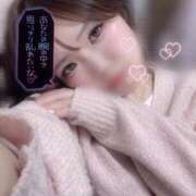 ヒメ日記 2026/02/25 13:00 投稿 らるふ buzz-B