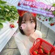 ヒメ日記 2026/02/28 08:21 投稿 らるふ buzz-B