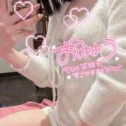 ヒメ日記 2026/03/02 08:02 投稿 らるふ buzz-B