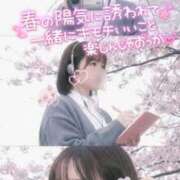 ヒメ日記 2026/03/08 17:01 投稿 らるふ buzz-B