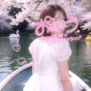 ヒメ日記 2026/03/17 08:19 投稿 らるふ buzz-B