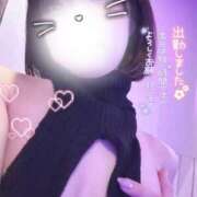 ヒメ日記 2026/04/18 14:08 投稿 らるふ buzz-B