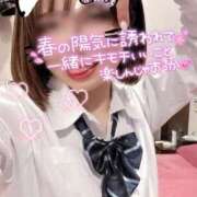 ヒメ日記 2026/04/29 15:01 投稿 らるふ buzz-B
