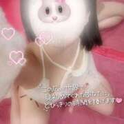 ヒメ日記 2026/05/01 14:48 投稿 らるふ buzz-B