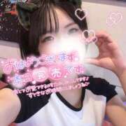 ヒメ日記 2026/06/06 07:56 投稿 らるふ buzz-B