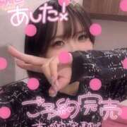 ヒメ日記 2026/06/18 21:31 投稿 らるふ buzz-B