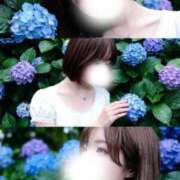 ヒメ日記 2026/06/28 13:43 投稿 らるふ buzz-B