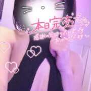 ヒメ日記 2026/07/03 23:15 投稿 らるふ buzz-B