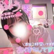 ヒメ日記 2026/07/04 07:03 投稿 らるふ buzz-B