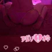 ヒメ日記 2026/07/18 11:50 投稿 らるふ buzz-B