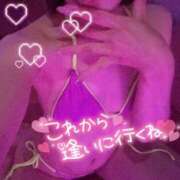 ヒメ日記 2026/08/07 19:04 投稿 らるふ buzz-B