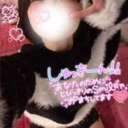 ヒメ日記 2026/08/14 07:54 投稿 らるふ buzz-B