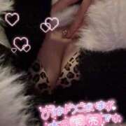 ヒメ日記 2026/09/12 11:42 投稿 らるふ buzz-B