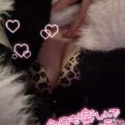 ヒメ日記 2026/09/20 07:43 投稿 らるふ buzz-B