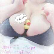 ヒメ日記 2025/12/11 15:29 投稿 みく 大阪ぽっちゃりマニア 谷九店