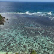 ヒメ日記 2026/02/25 07:38 投稿 りりか モアグループ 土浦人妻花壇