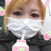 ヒメ日記 2026/02/19 11:34 投稿 いおり Felice(フェリス)