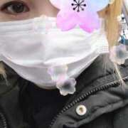 いおり 遅め🐢 Felice(フェリス)