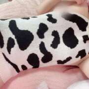 ヒメ日記 2026/01/14 13:47 投稿 いちか 全裸SUPERプレミアム