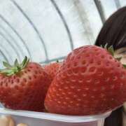 ヒメ日記 2026/04/04 13:29 投稿 まりあ ケープエンジェル